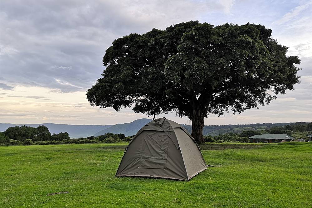 В таких палатках обычно ночуют в кемпах — это бюджетный вариант. Палатки двухместные, но если вы путешествуете один, то к вам не подселят чужого человека