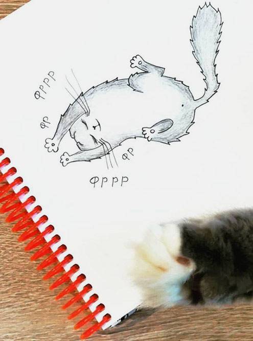 Кошка, нарисованная ручкой и&nbsp;карандашами с&nbsp;натуры