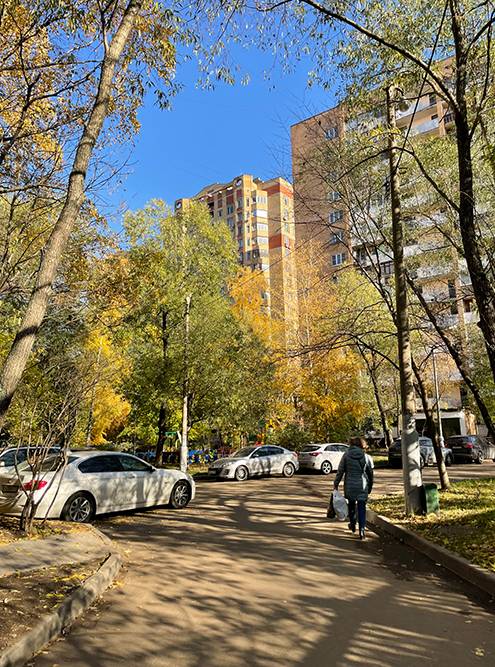 Зеленые дворы Выхина