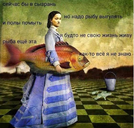 Изображение пользователя Поющая в коровнике