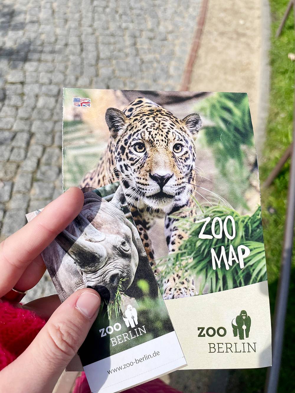 Билет и карта зоопарка
