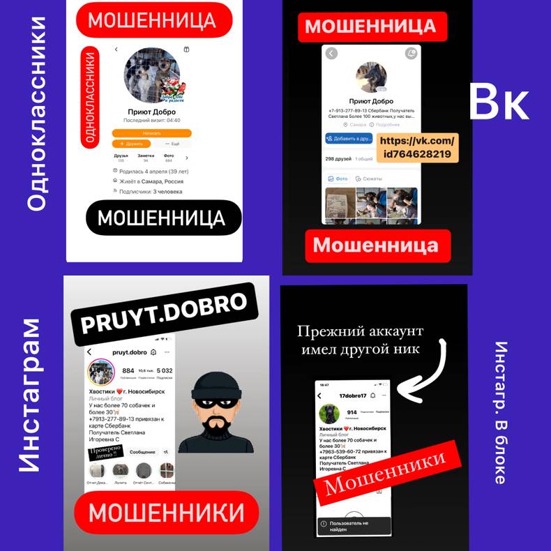 Изображение пользователя Ирина Кельс