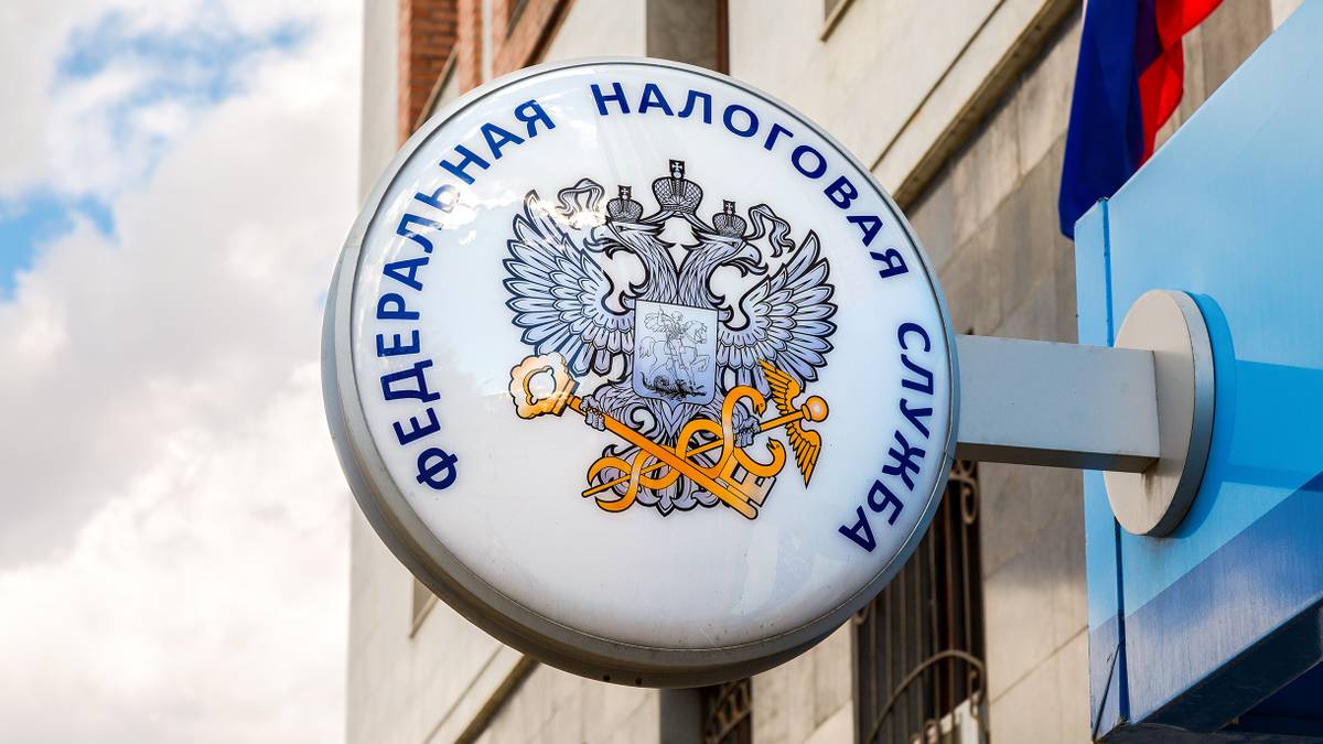 Налоговая по адресу прописки где взять коды статистики организации