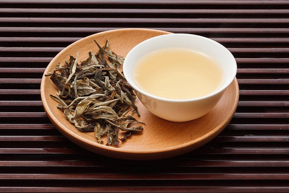Настой белого чая. По цвету настоя чай и&nbsp;получил название. Источник: Guiyuan Chen \ Shutterstock