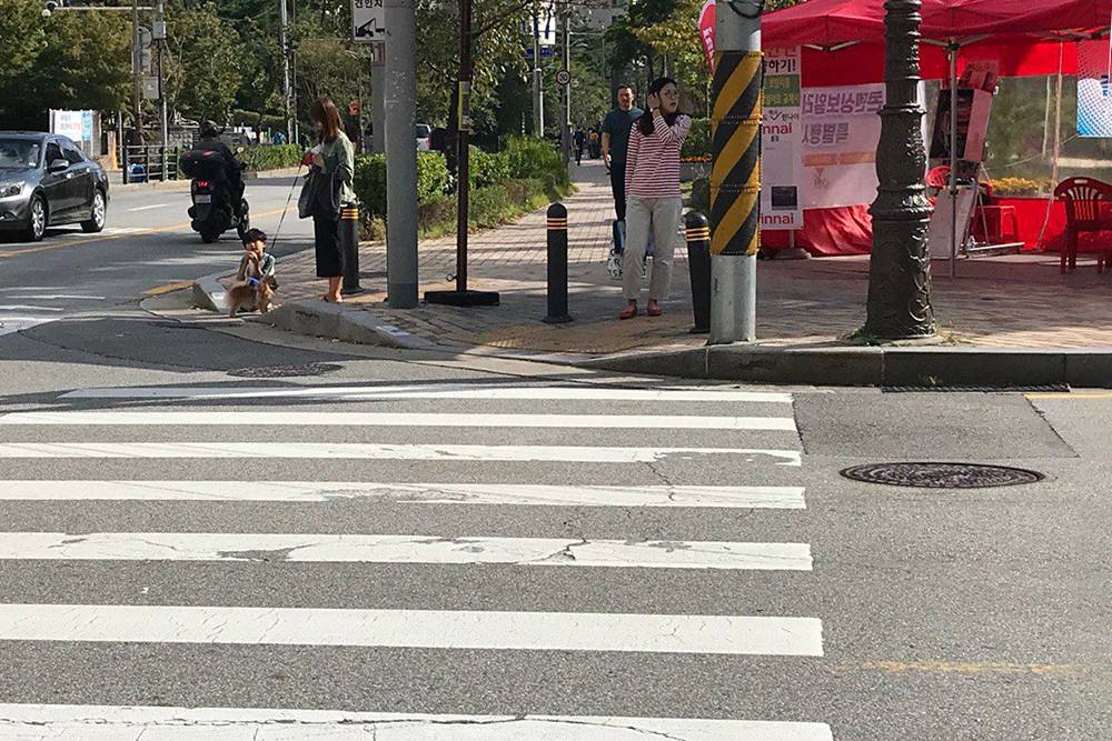 Корейские тротуары. Для&nbsp;людей на инвалидной коляске предусмотрены плавные спуски на дорогу