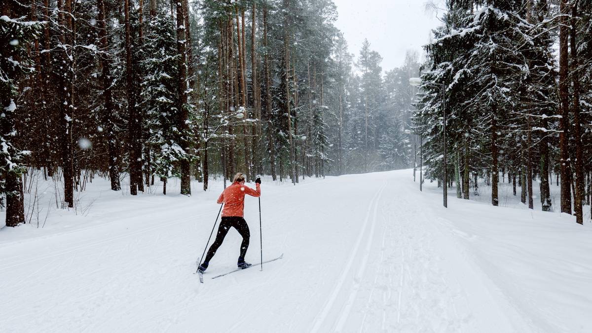 Беговые лыжи: как и где кататься, как подобрать лыжи и экипировку .