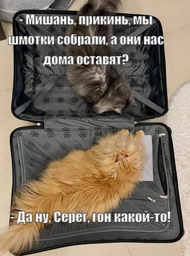 Изображение пользователя Creep