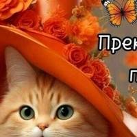Аватар автора