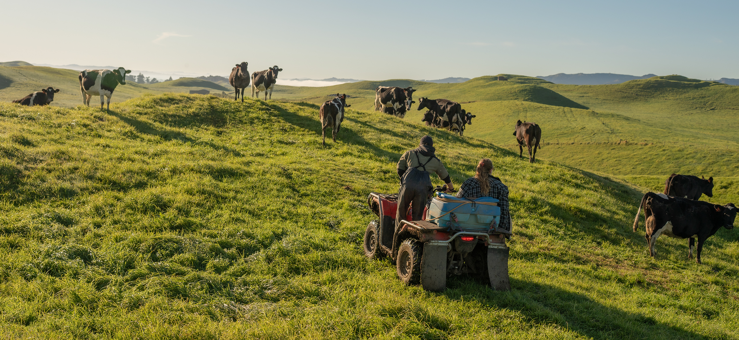 «Скучать не приходи­лось»: 3 истории молодых профи в сельском хозяйстве