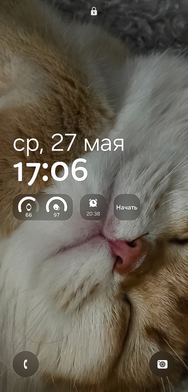 Мой Няфа — всегда прекрасно пухленький. Бывает недоволен, если Его Величество случайно разбудили
