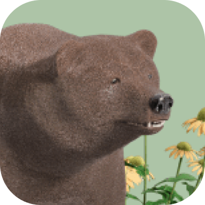 Что еще посмотреть в России