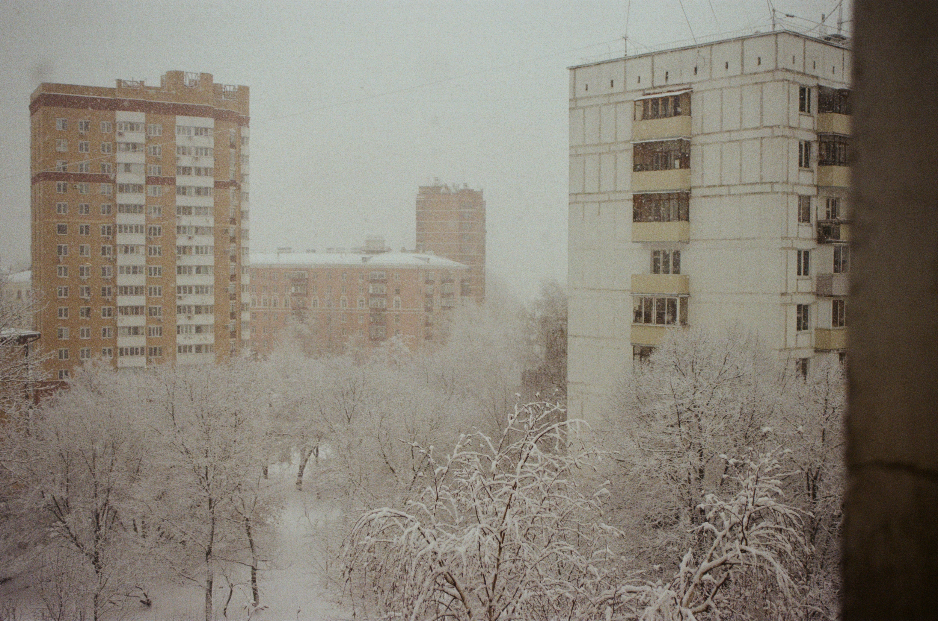 Заметает