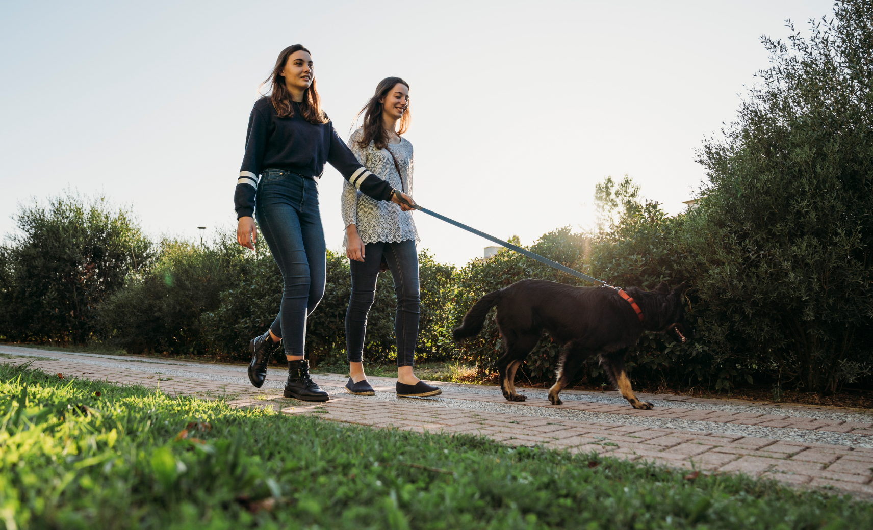 Прогулка без цели