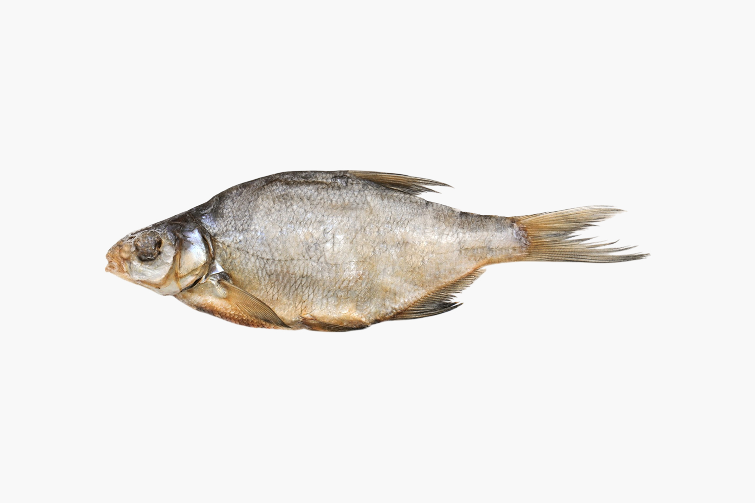 Вяленый лещ. Фотография: AnTish / Shutterstock / FOTODOM