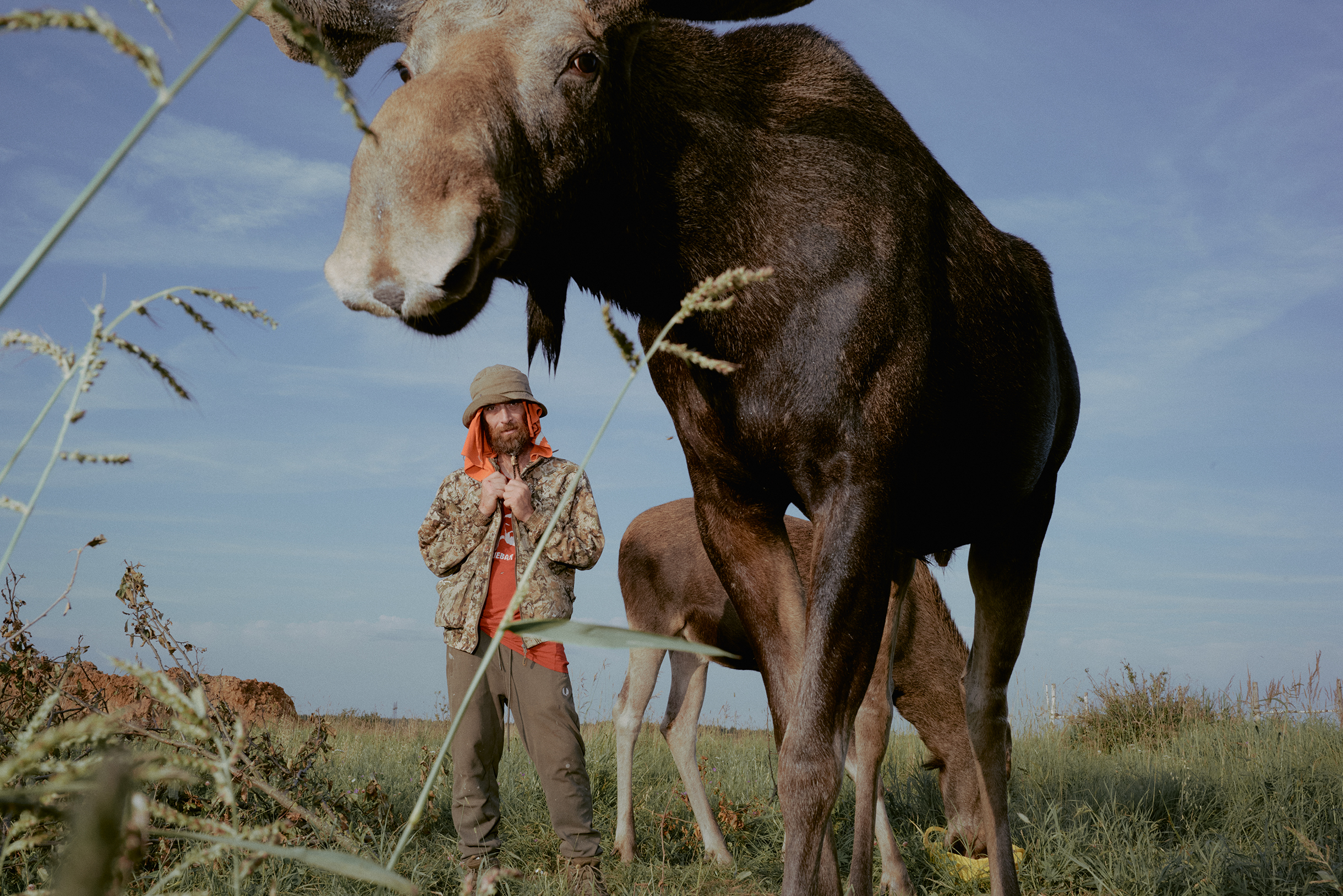 Артур содержит лосей в том числе благодаря личному заработку — работы с лошадьми и процентов с их продажи. А скоро зарегистрирует благотворительный фонд — это поможет привлечь крупных спонсоров и частные пожертвования