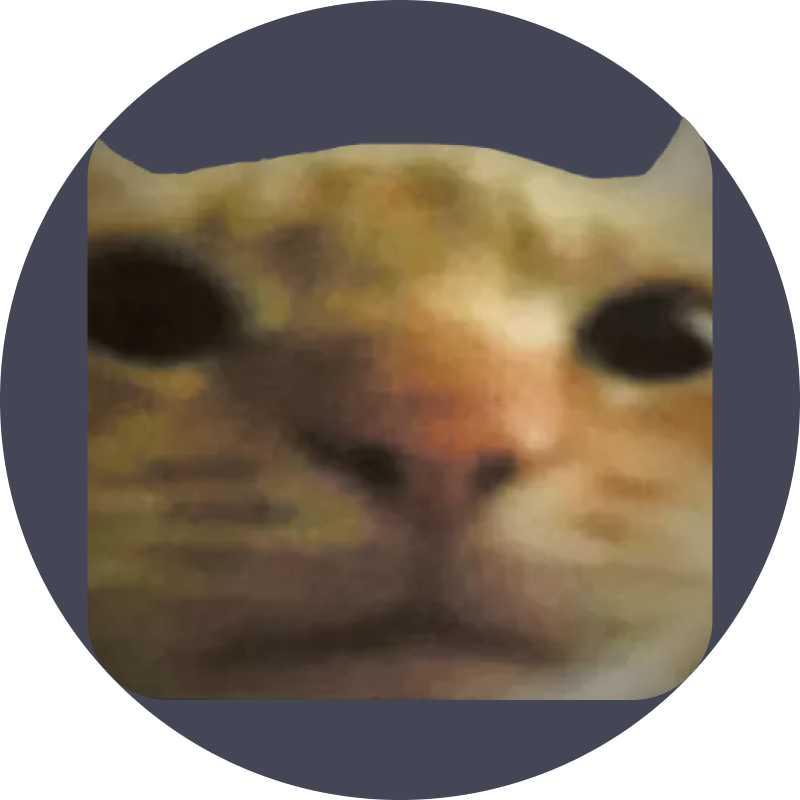 Cat Bot