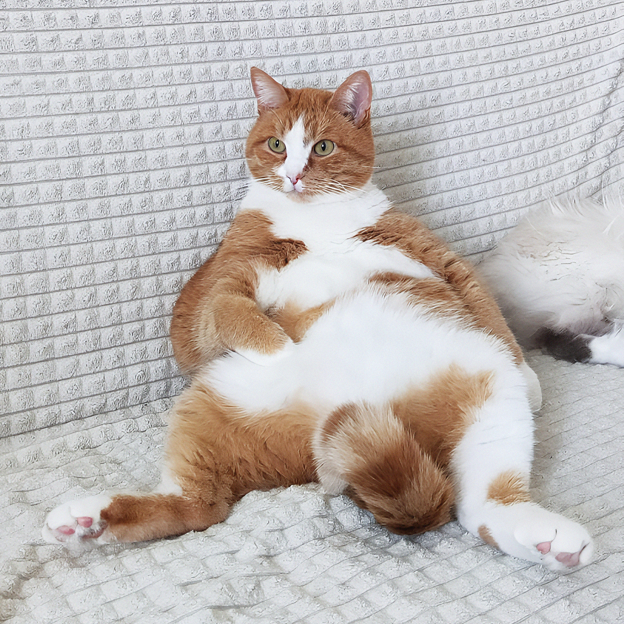 Виновник цветочного апокалипсиса