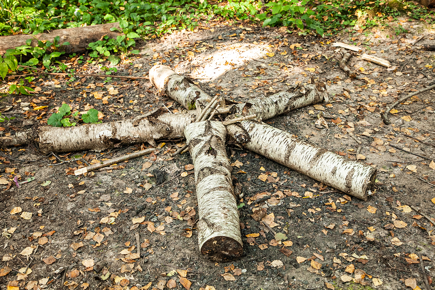 Пример расположения бревен в звезде. Фотография: Александра Малахова