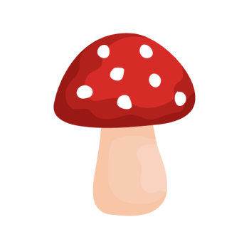 Shroomify — Mushroom ID