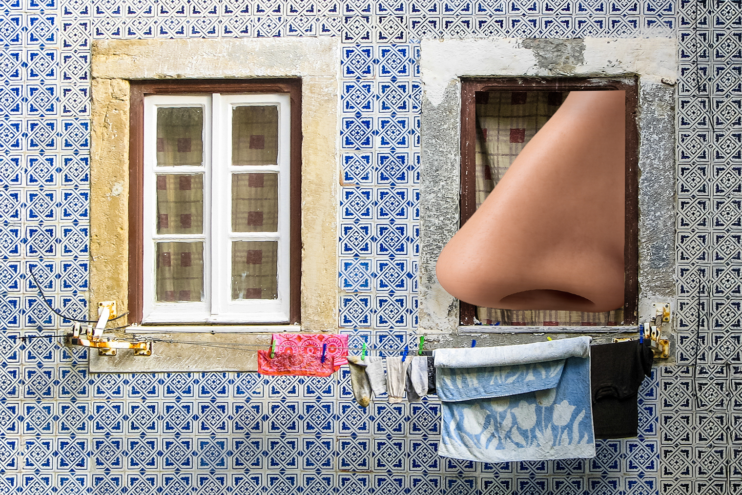 Фотография в коллаже: Teresa Claudino / Getty Images