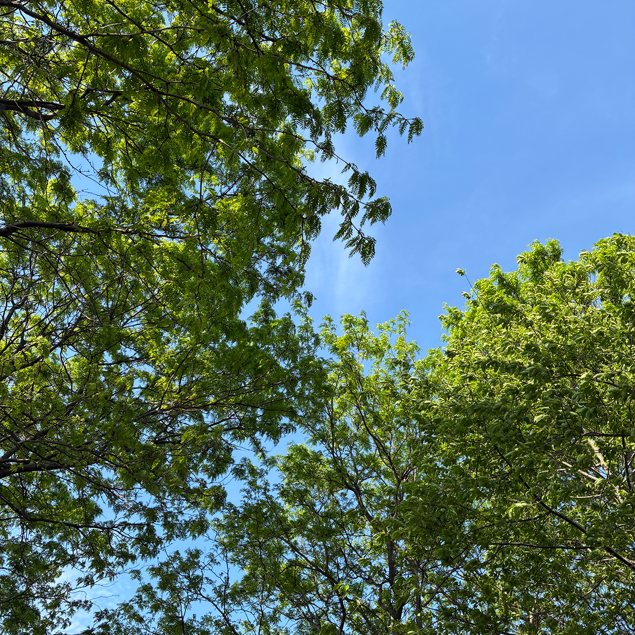 Отдыхаю в парке