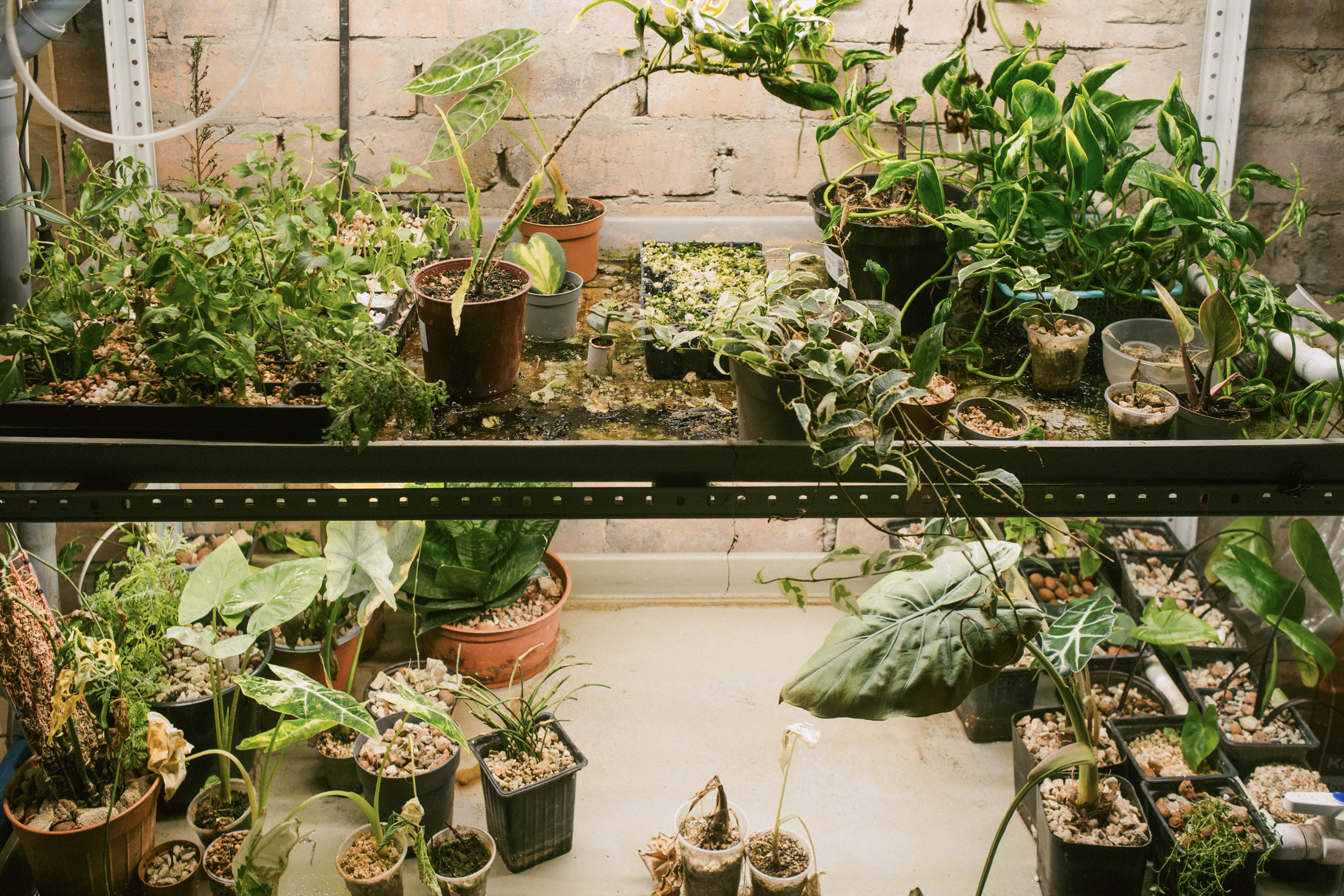 Нужно было с ремонтом, чтобы не тратить время и деньги на подготовку