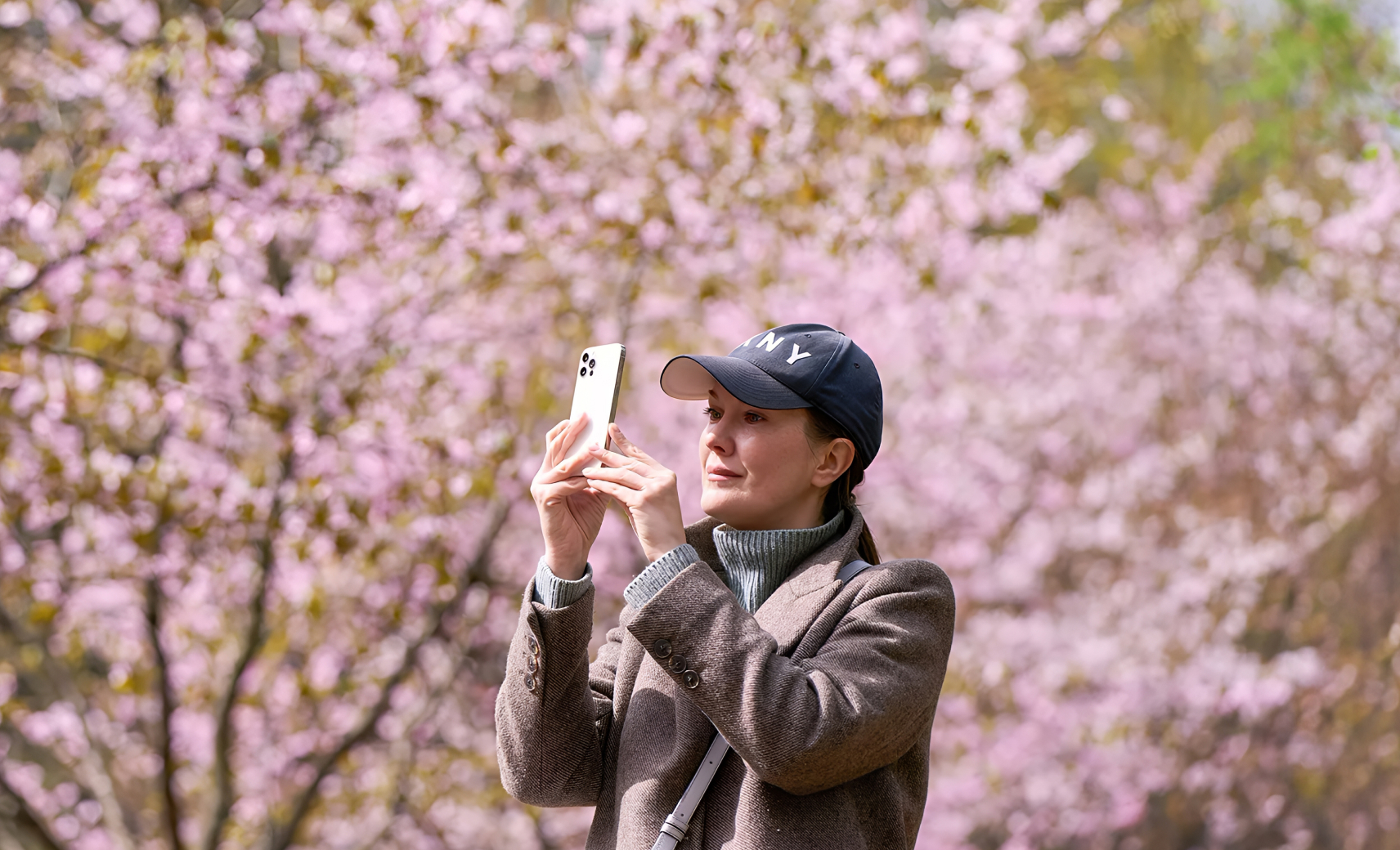 Сфоткаться с сакурой