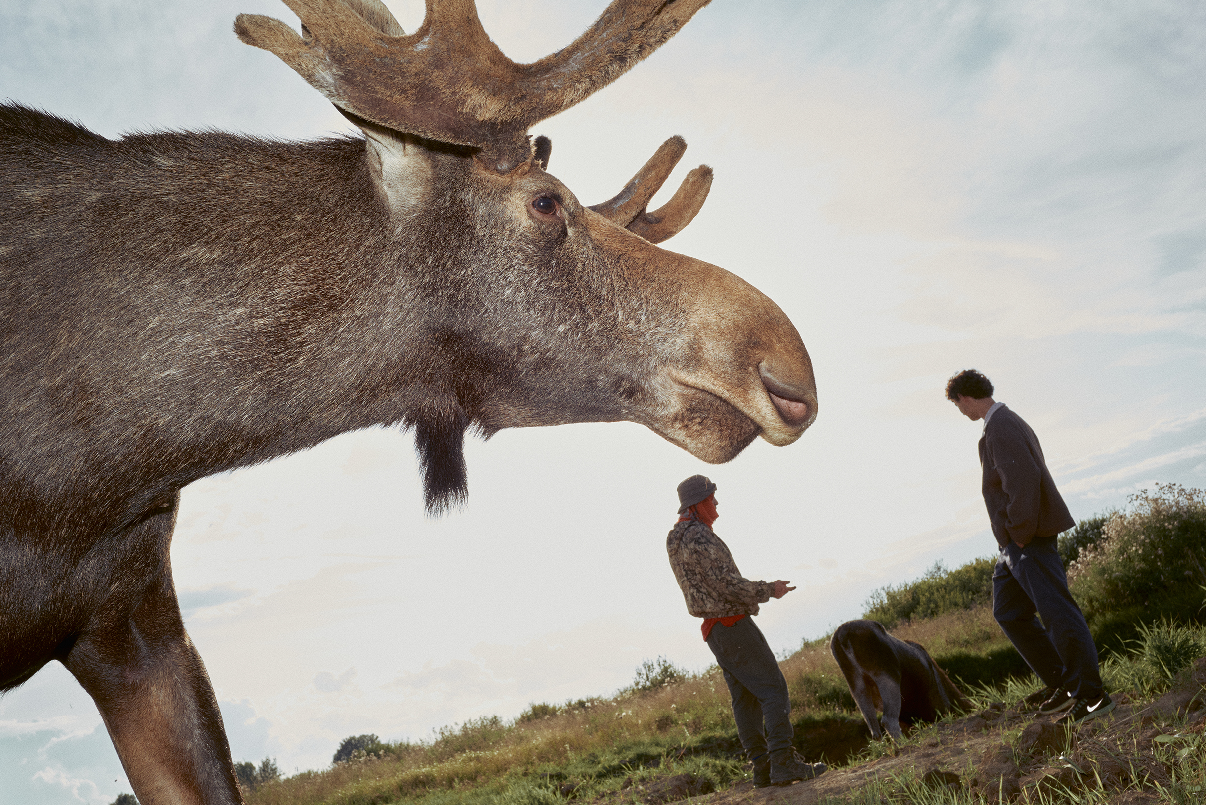 Кроме ухода за лосями Артур консультирует тех, кто находит детенышей в диких условиях. Он объясняет, как понять, нужна ли животному помощь — и как ее оказать