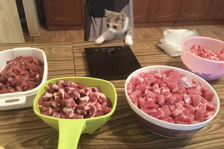 Пока Тефтелька была маленькой, мы кормили ее натуралкой, но это было трудно и совсем не выгодно