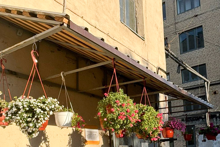 Такую красоту посадила весной на территории около работы