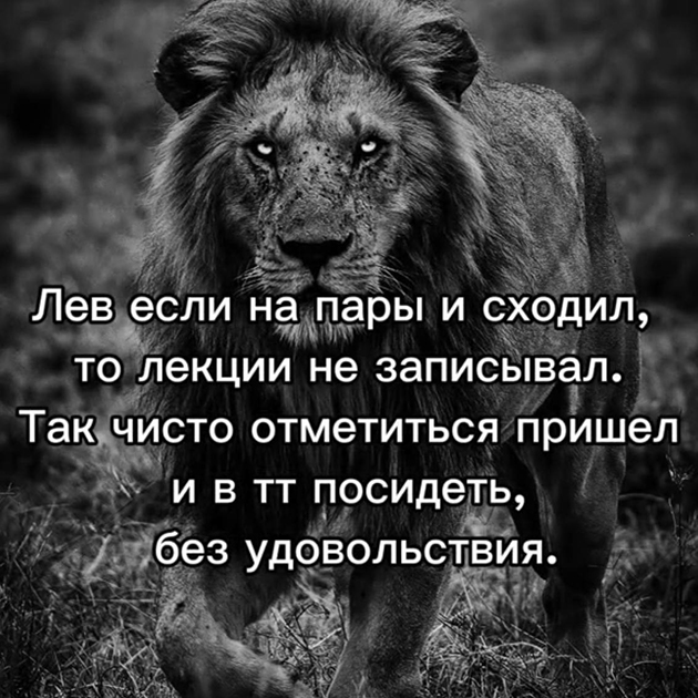 Пример мема