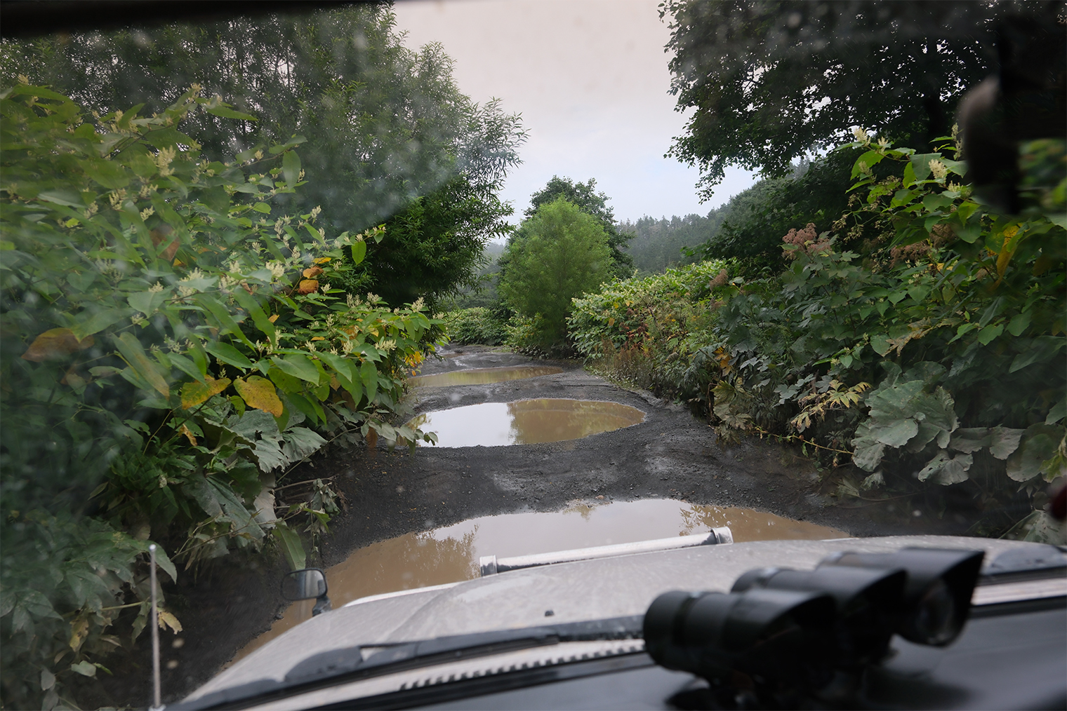 Дорога к достопримечательности может выглядеть вот так, и это еще не самый худший вариант. © Дарья Ревина