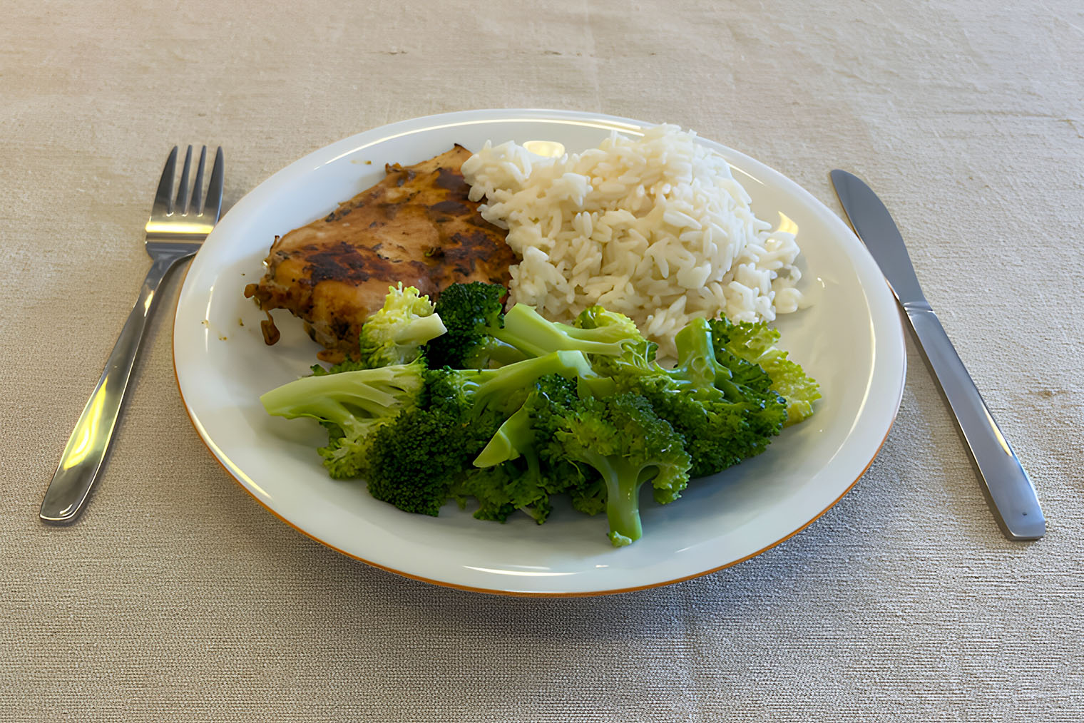 Пример стандартной фотосъемки блюда среднего размера с рисом, жареной куриной грудкой и брокколи. © pubmed.ncbi.nlm.nih.gov
