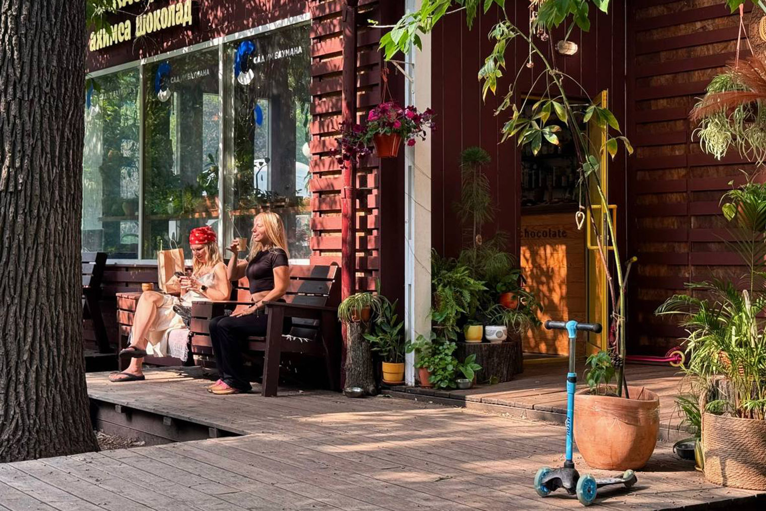 © Какао-дом Ахимса / Telegram