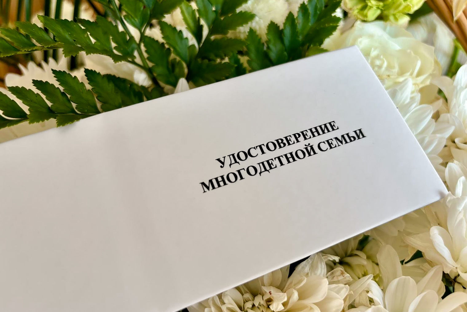 Обложка удостоверения многодетной семьи нового образца. © сообщество в vk.com