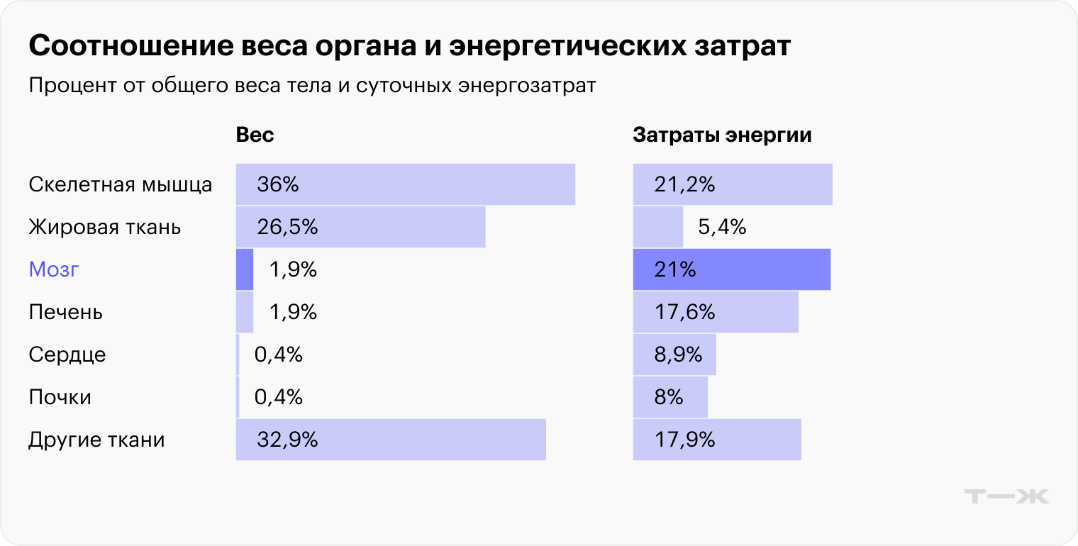 Источник: sciencedirect.com