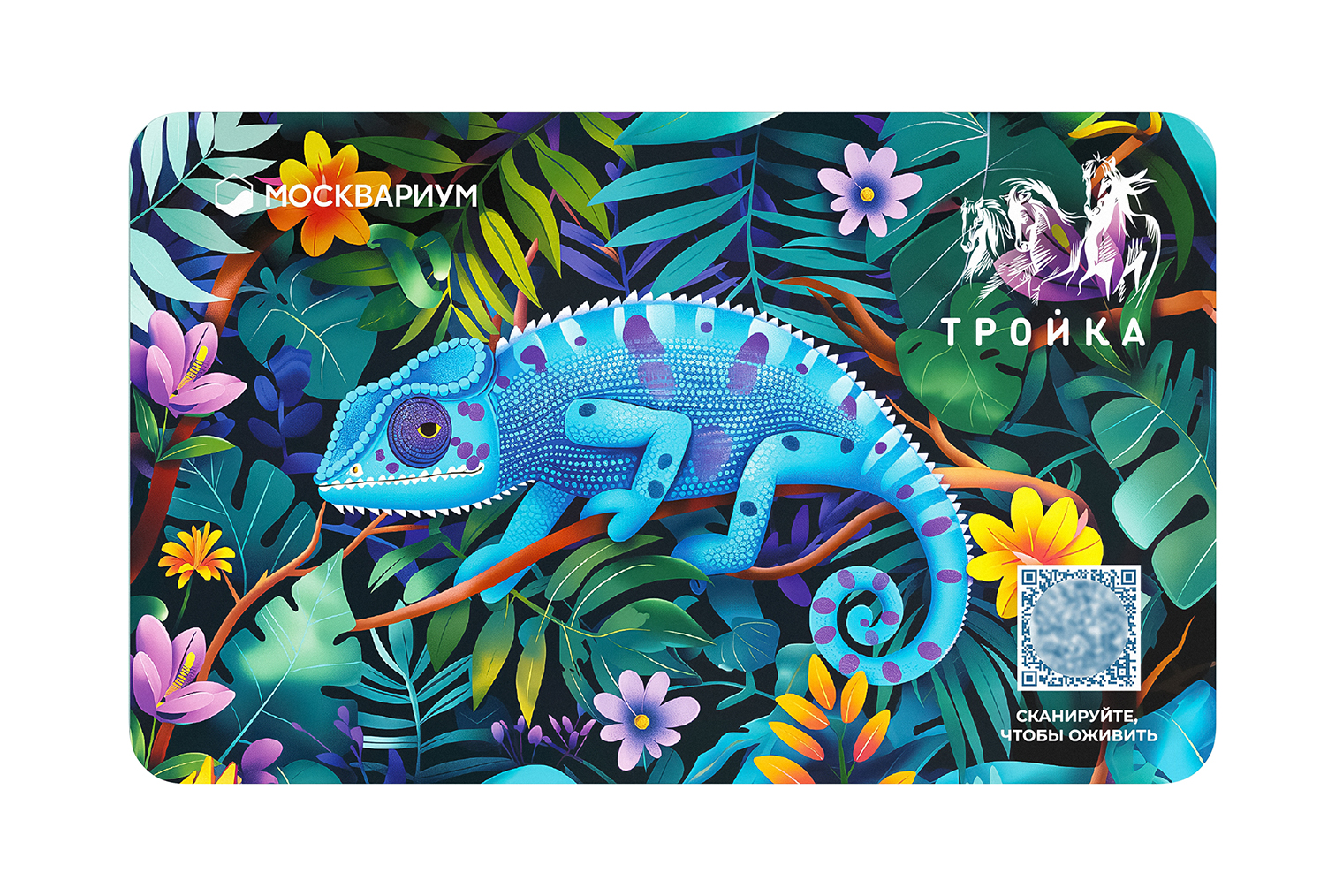 Источник: moskvarium.ru