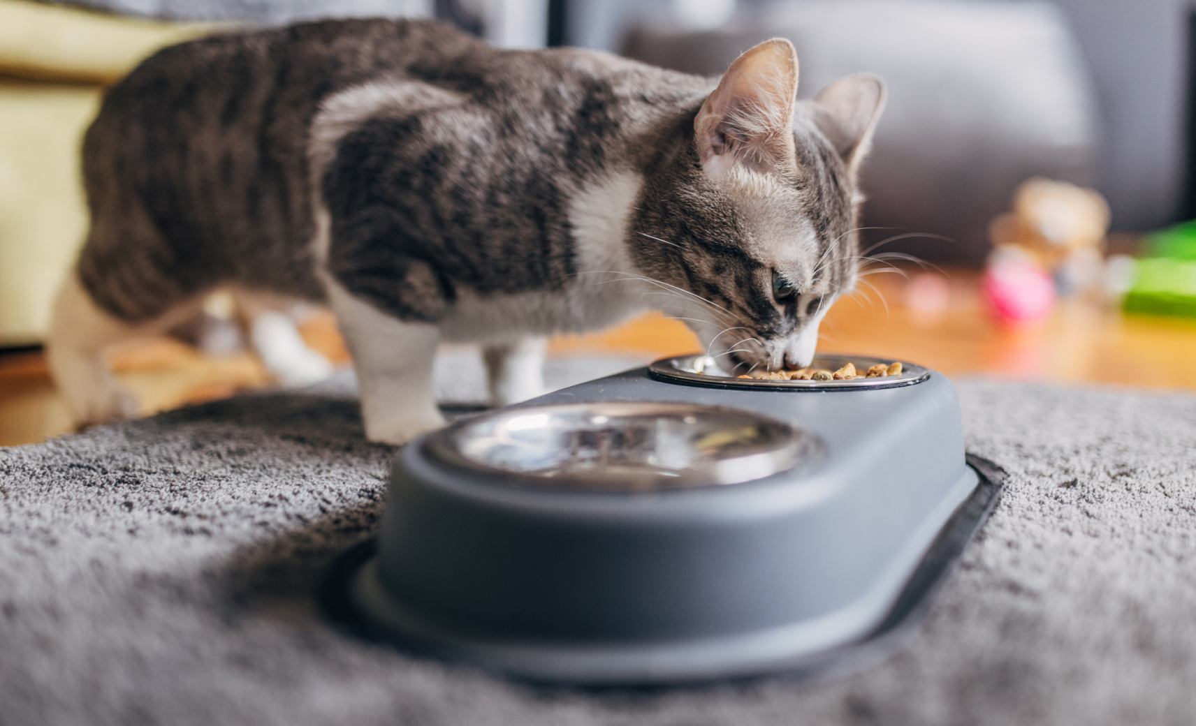 Двойные миски