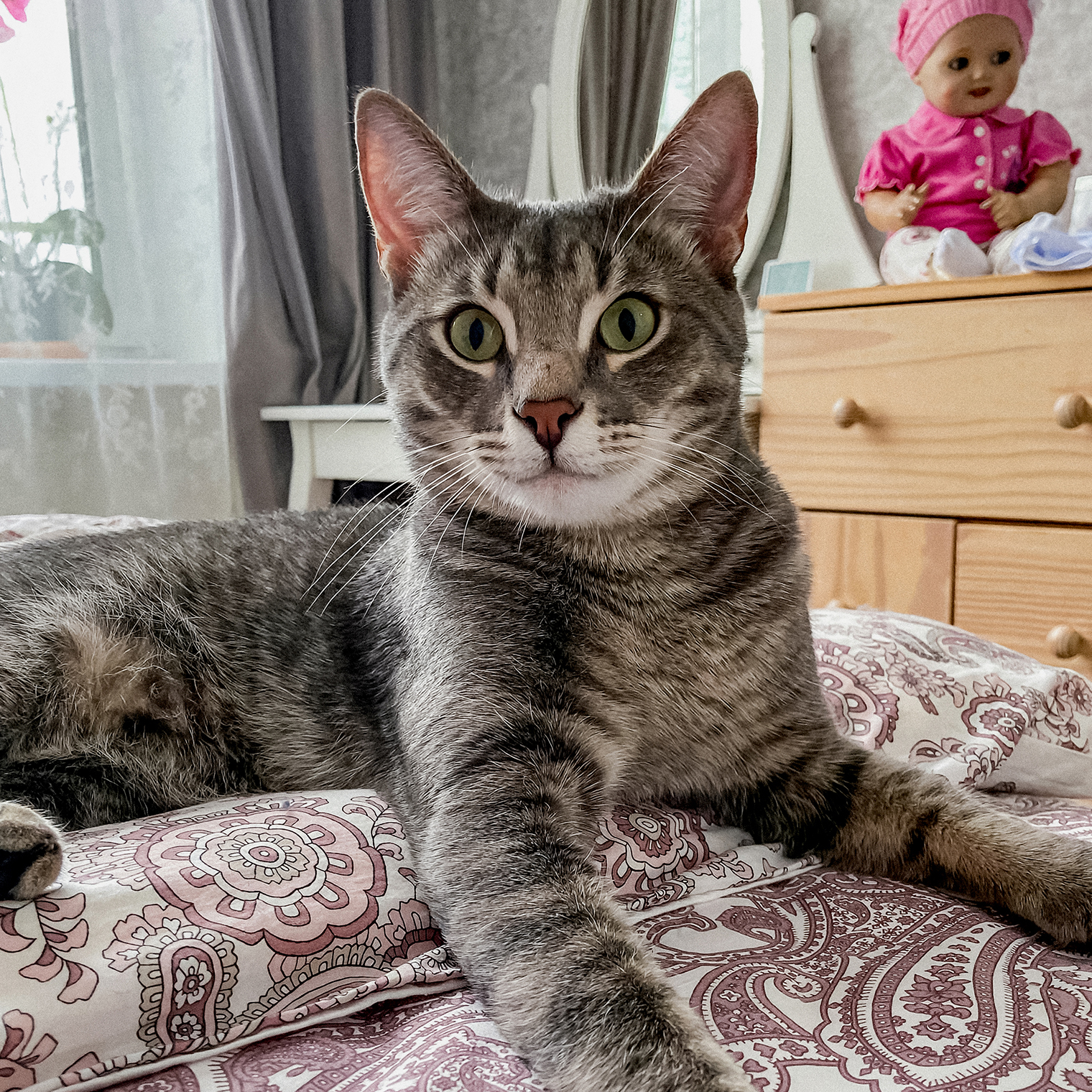 Главарь банды выглядит так