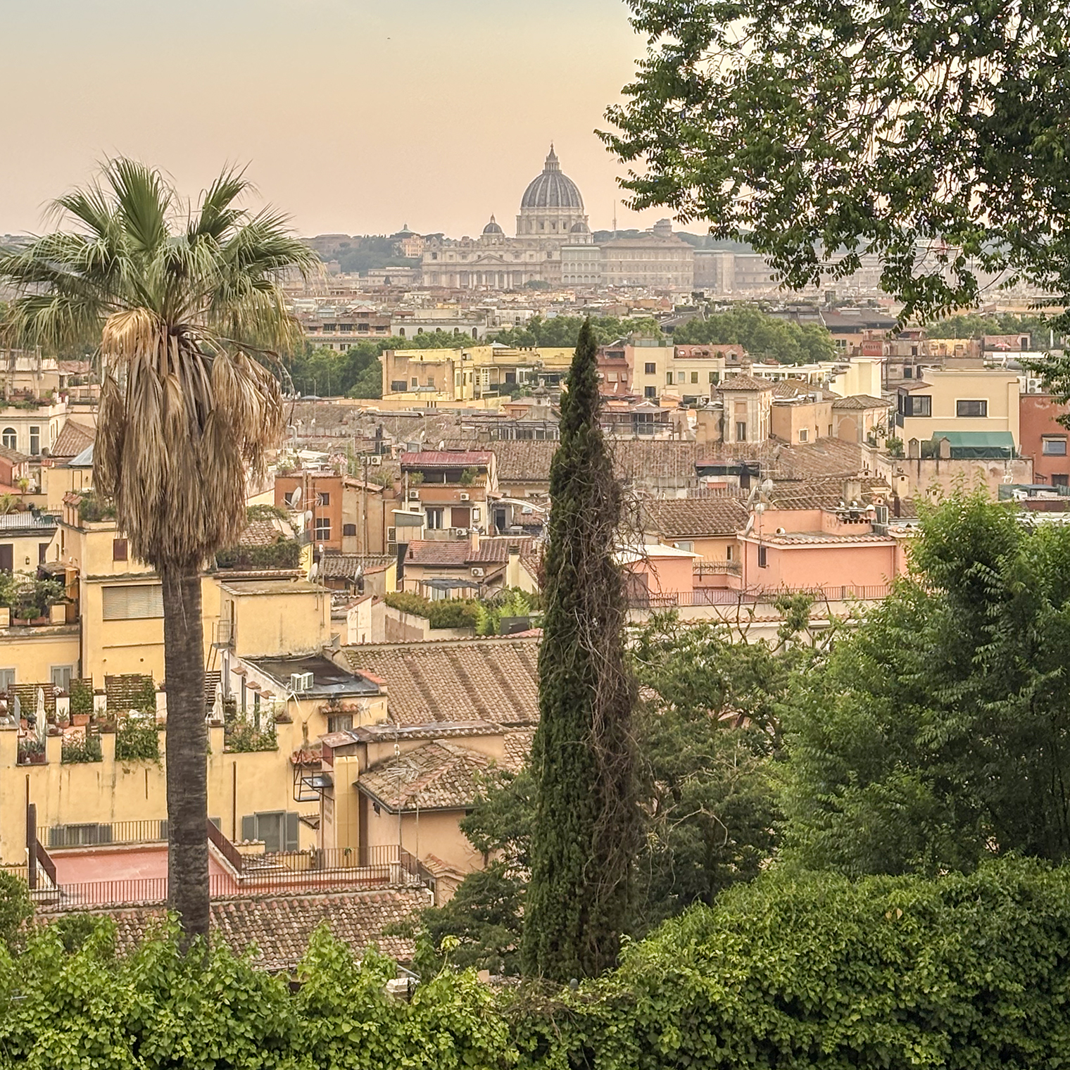Вид на Рим