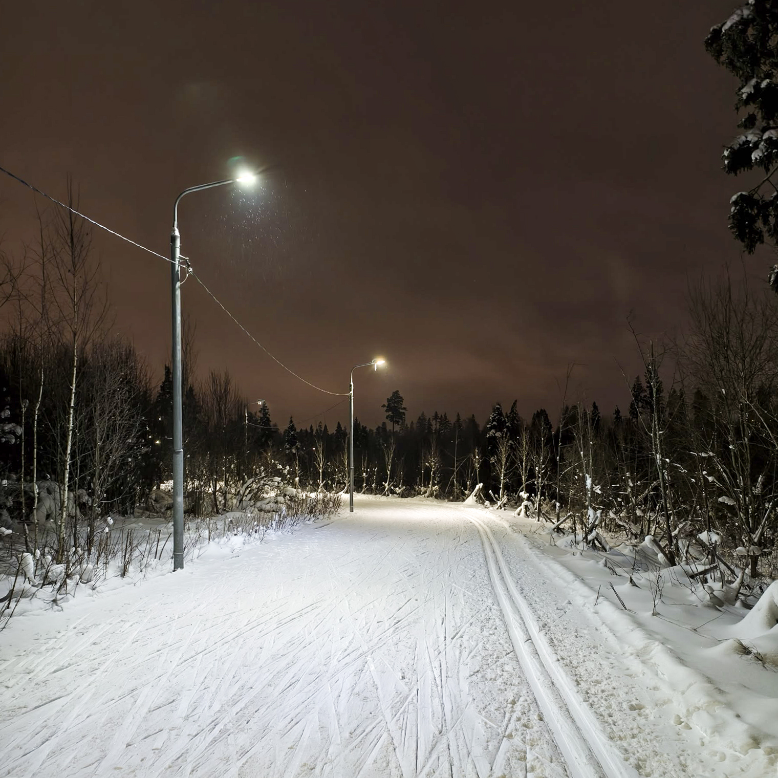 На лыжной трассе