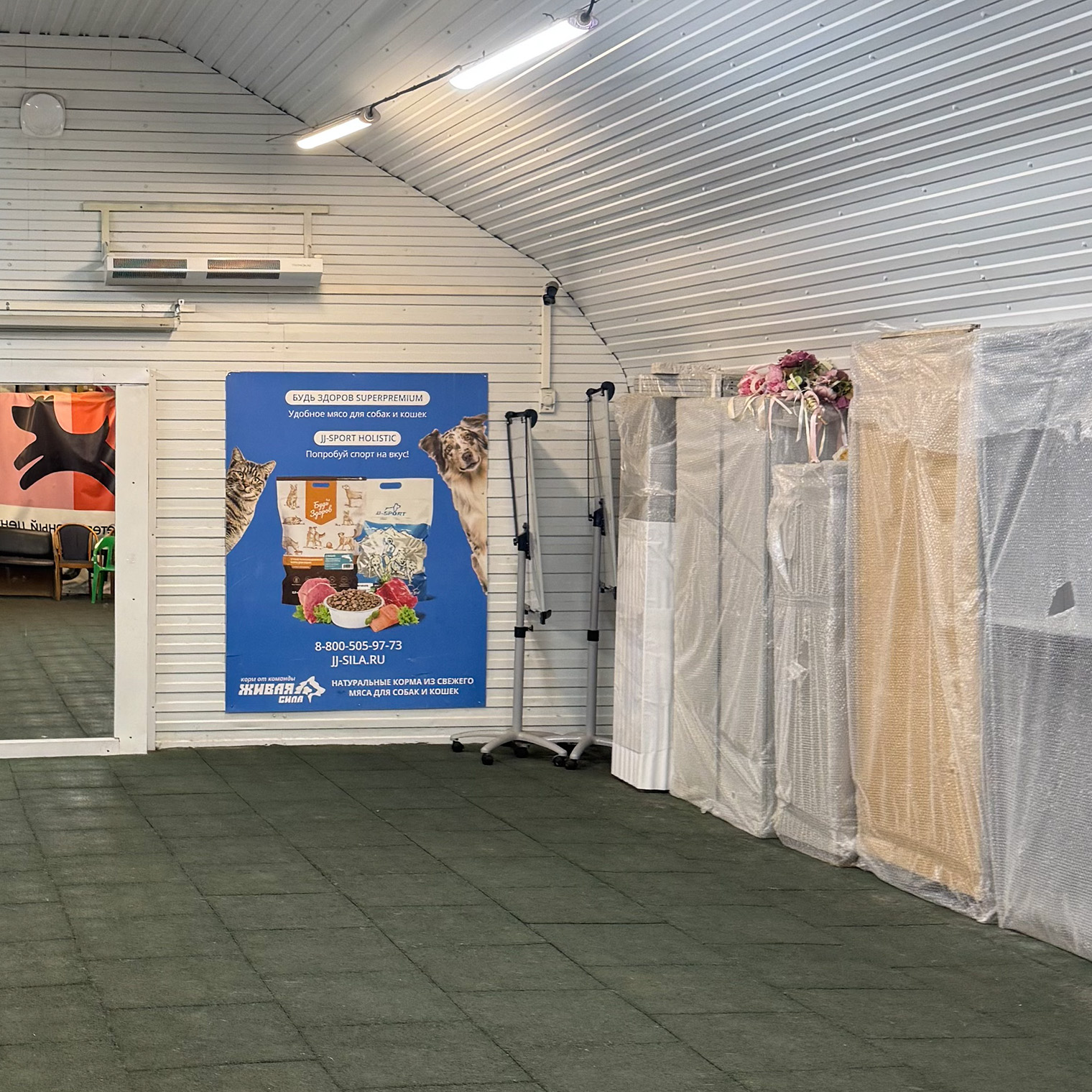 В таком помещении занимались с кинологом