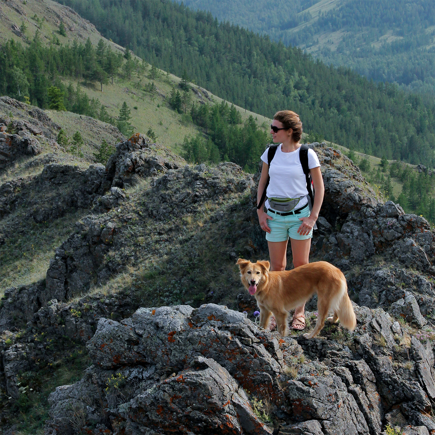 Жена поддержала идею взять собаку, хотя мы и не планировали