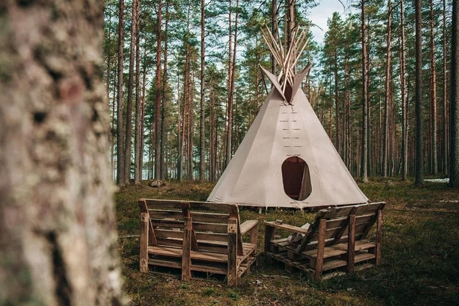 Источник: ecohotel-les.ru