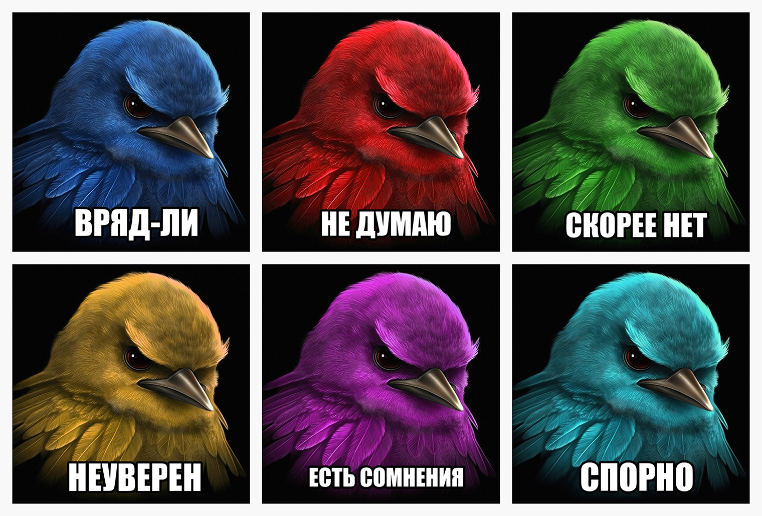 Таких птиц десятки