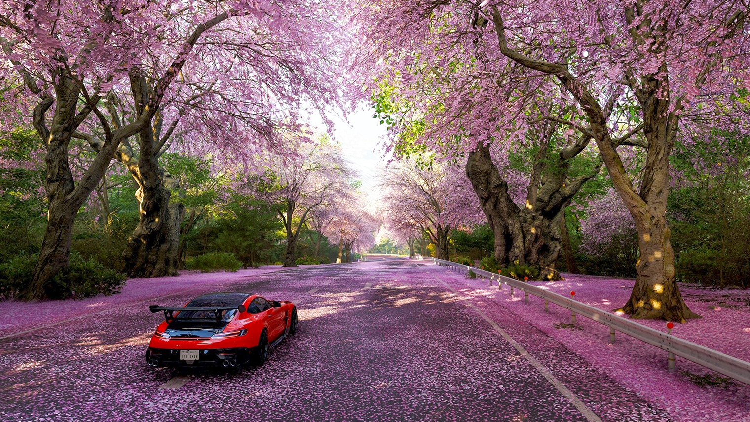 Игры серии Forza Horizon посвящены вымышленному гоночному фестивалю Horizon, который привлекает лучших гонщиков со всего мира