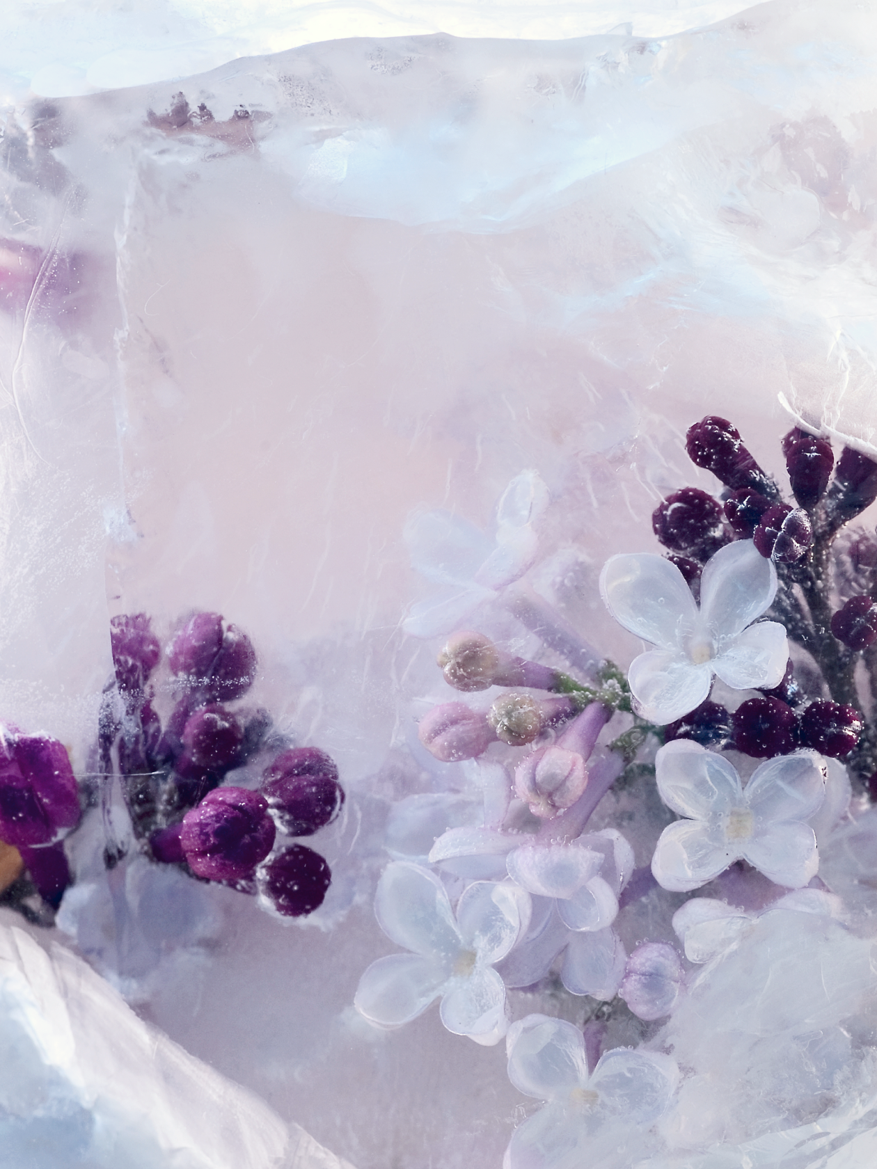 © Foryouinf / iStock