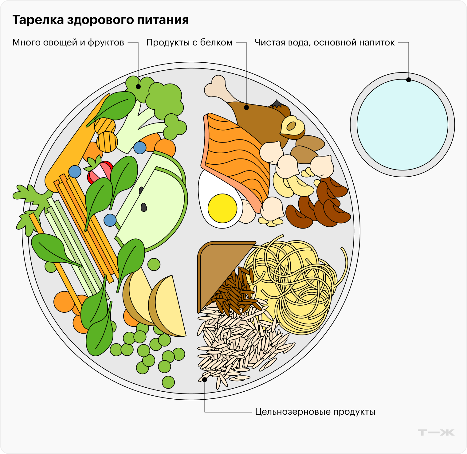 Так схематично выглядит гарвардская тарелка: половина овощей, по четверти белка и углеводов