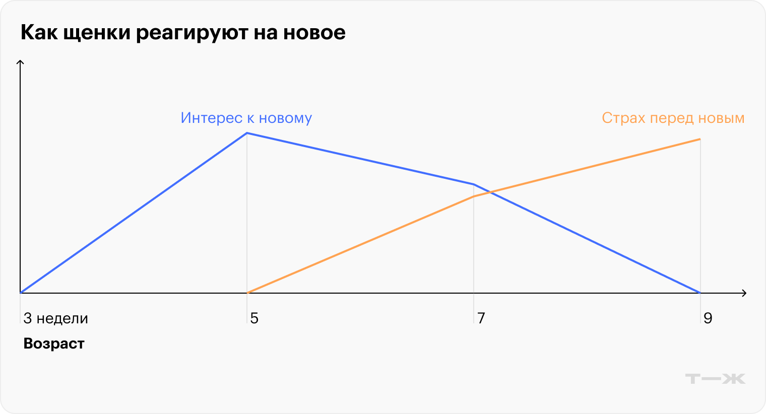 С возраста около семи недель страх перед неизвестным начинает постепенно преобладать над любопытством — воспринимать новое щенку становится все сложнее. Источник: «Генетика и социальное поведение собак», Джон Пол Скотт, Джон Л. Фуллер