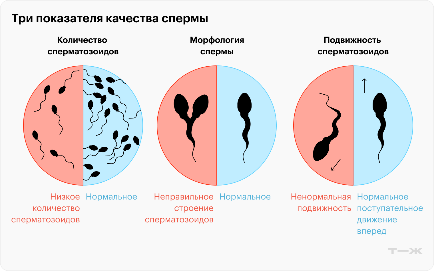 Порно шошқаны ұрып-соғу Түрлі-түсті шұлықтардағы порно